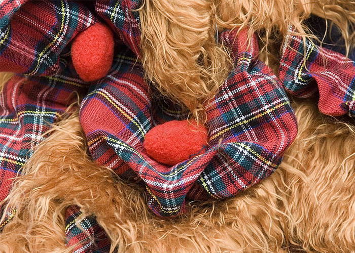 What Is A Scottish Hat - Scotland kilt Collection
