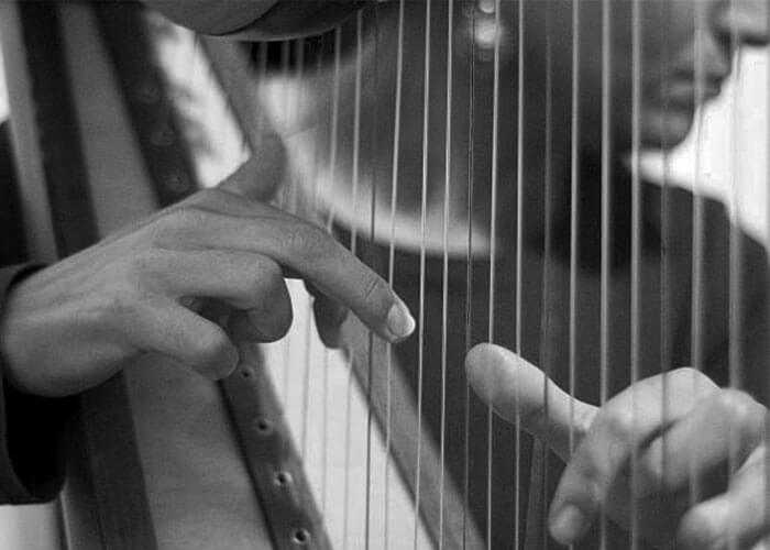 Can You Learn Harp on a Lyre