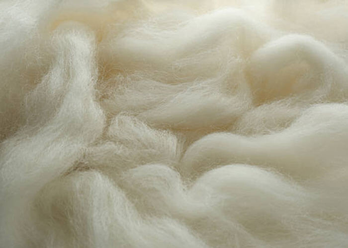 Alpaca Wool