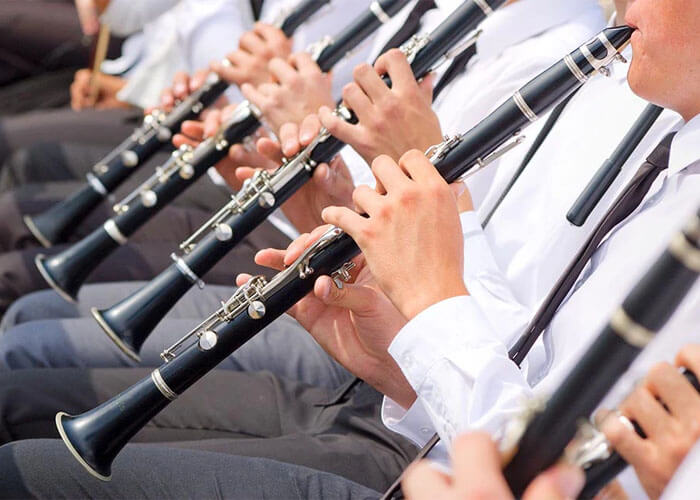 What Are Woodwind Instruments: A Musical Journey