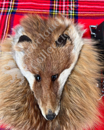Scottish Highland Fox Face Fur Leather kilt Sporran with Chain Belt
